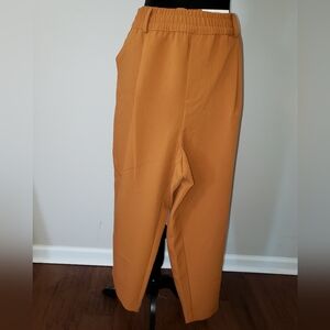 Woman's Plus Stylish Pecan Roast Colored Pant